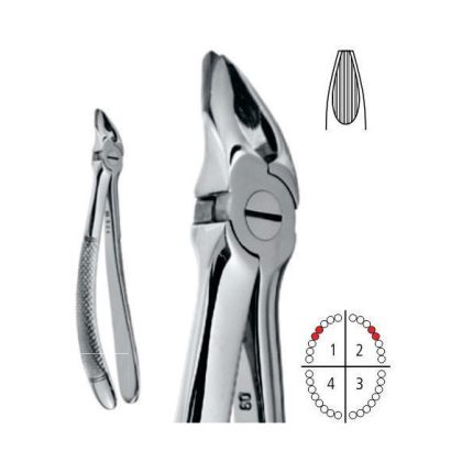Deep Gripping Forceps - English Pattern