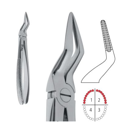 Deep Gripping Forceps - English Pattern