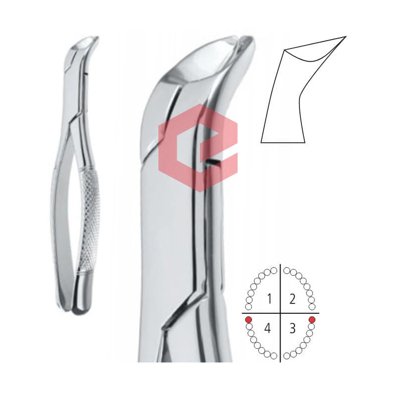 EDC-250-5